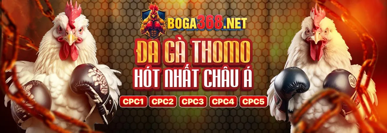 Đá Gà Trực Tuyến QHH88