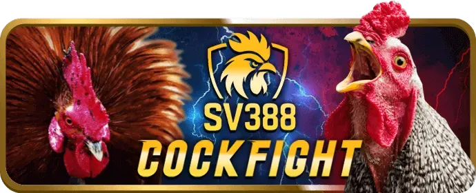 Đặt Cược Đá Gà